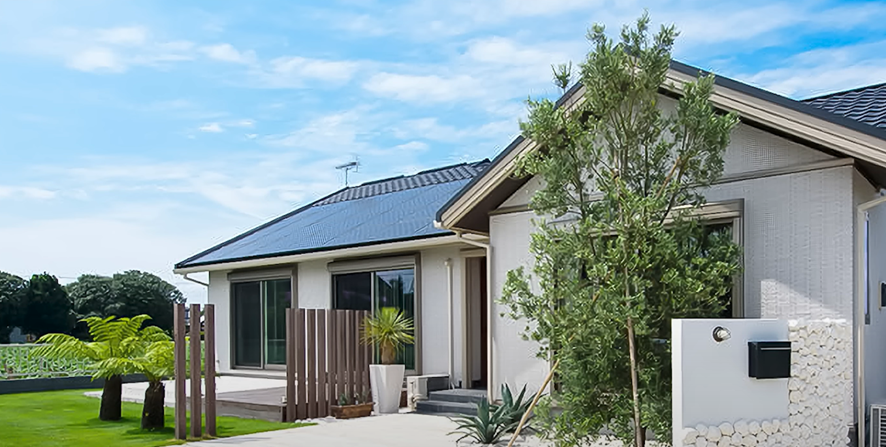 グリーンモデル